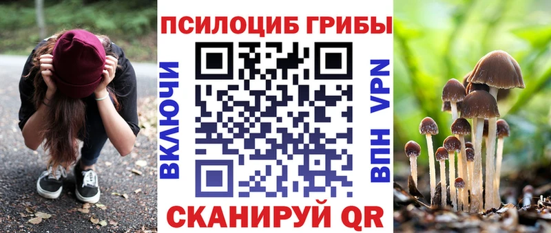 Псилоцибиновые грибы прущие грибы  Курлово 